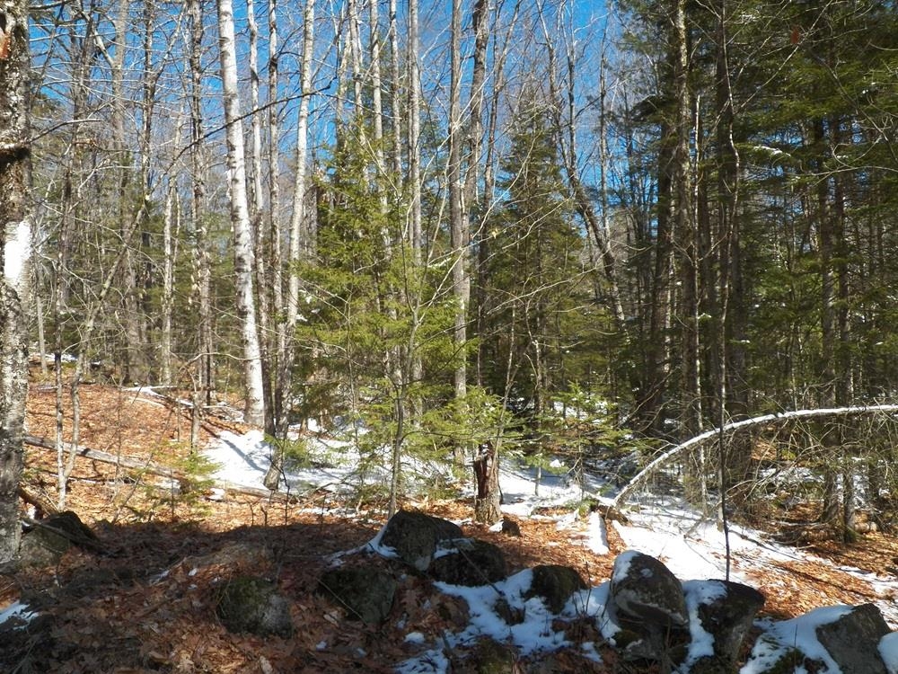 15-50 Faxon Hill Road