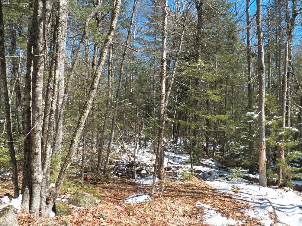 15-50 Faxon Hill Road