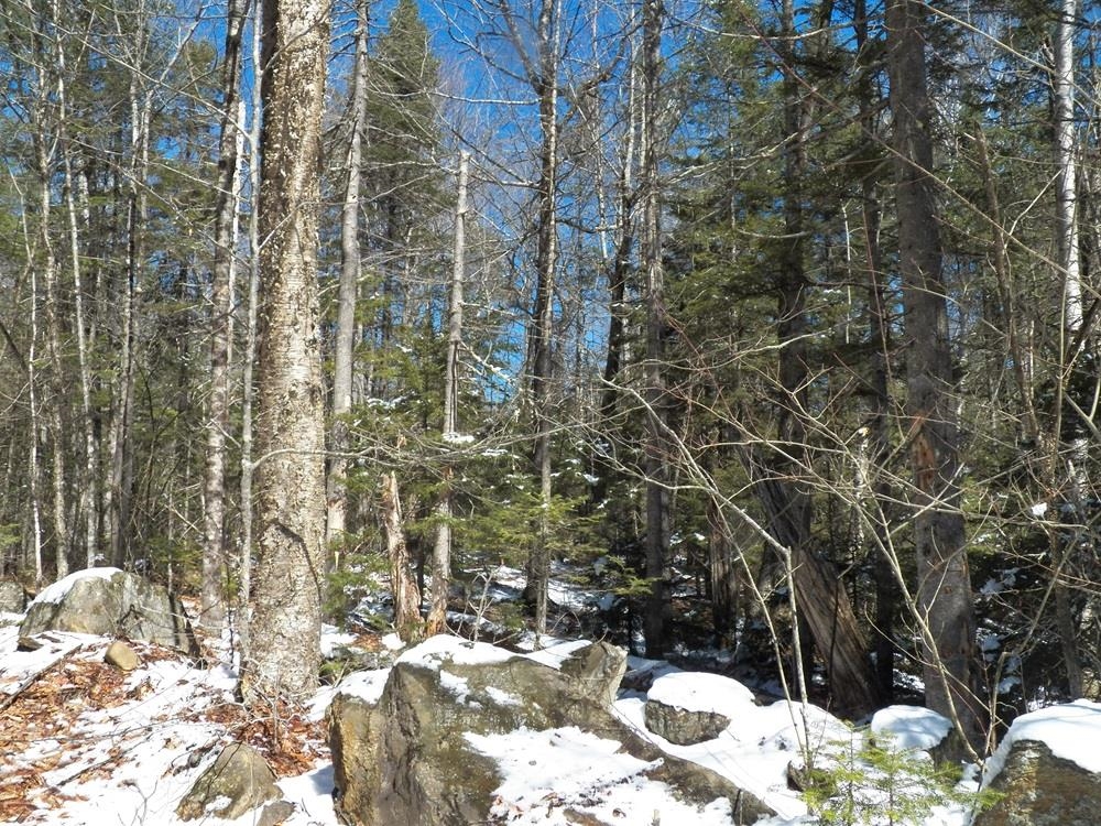 15-50 Faxon Hill Road