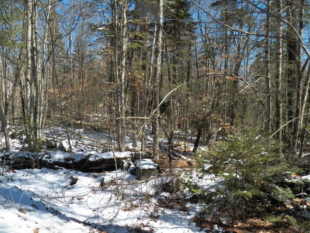 15-50 Faxon Hill Road