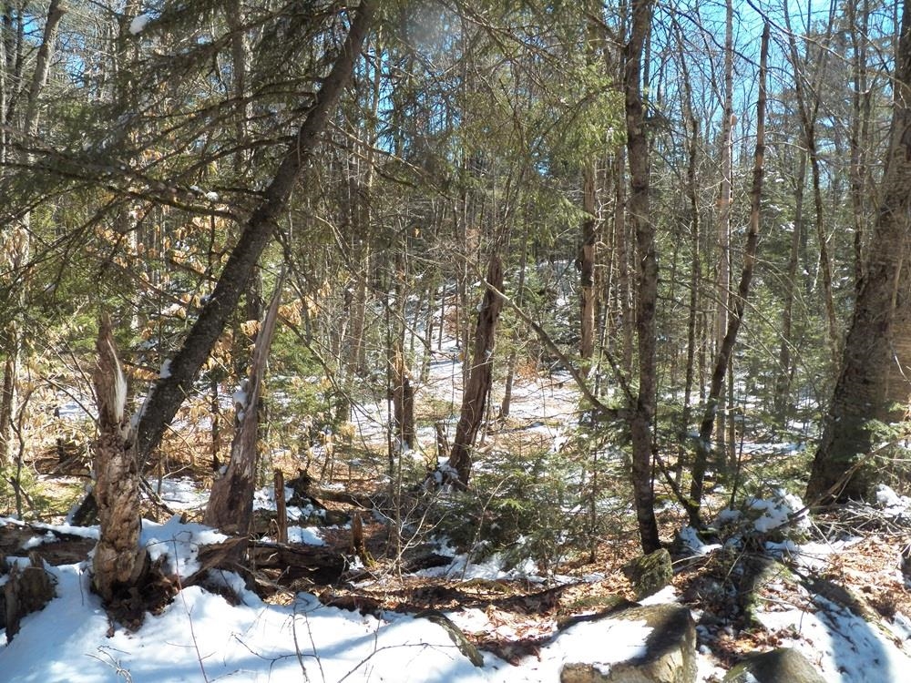 15-50 Faxon Hill Road