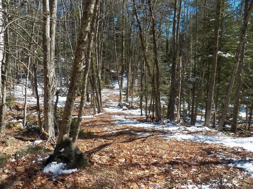 15-50 Faxon Hill Road