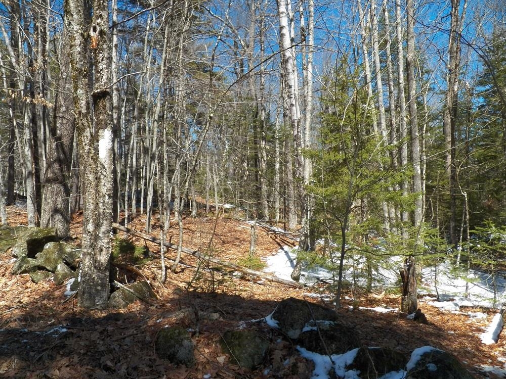 15-50 Faxon Hill Road