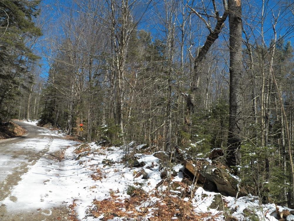 15-50 Faxon Hill Road