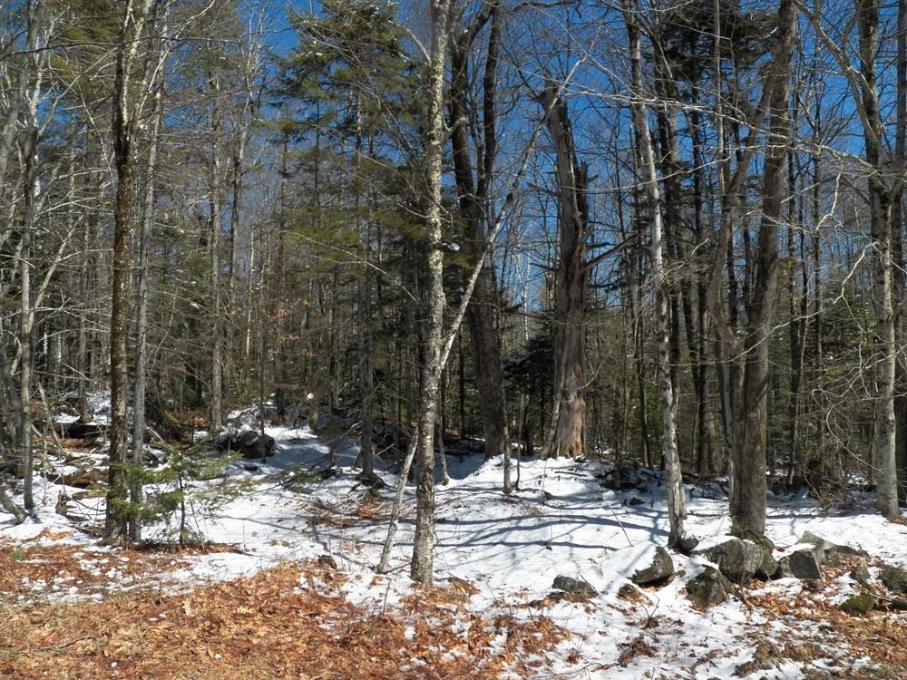 15-50 Faxon Hill Road