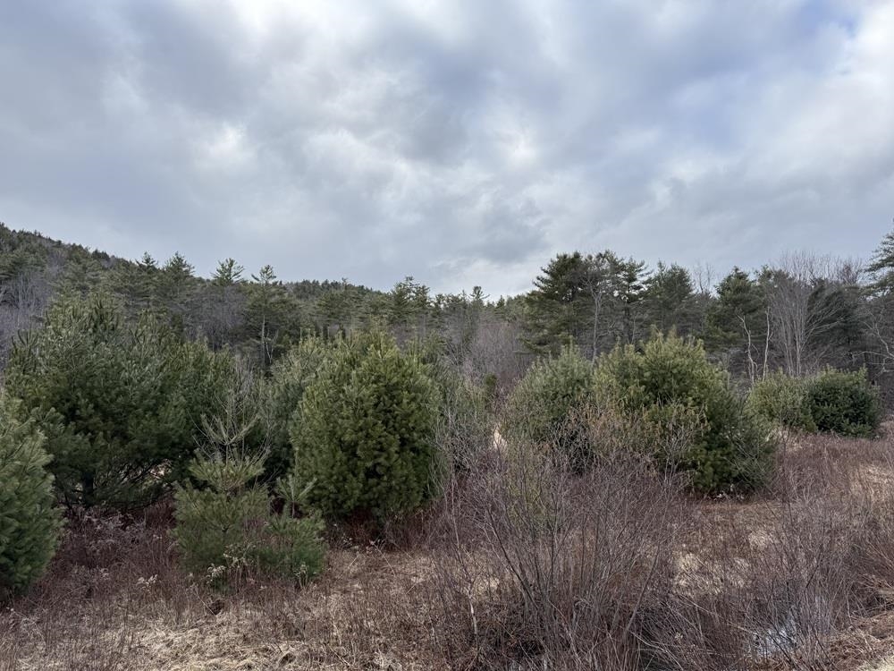 R13-006-001 Route 25C Route