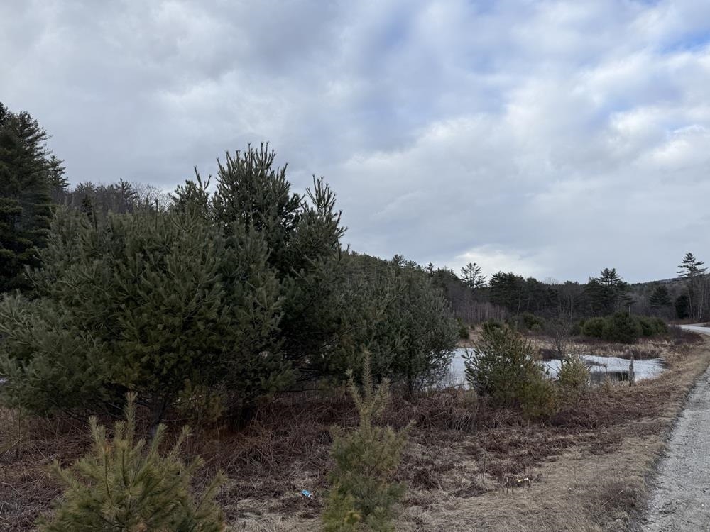 R13-006-001 Route 25C Route