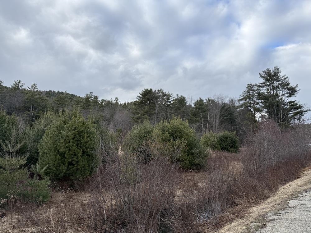 R13-006-001 Route 25C Route