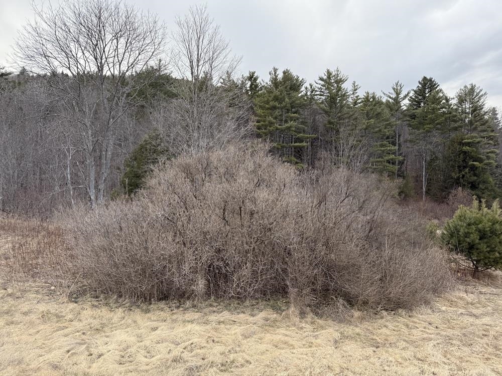 R13-006-001 Route 25C Route