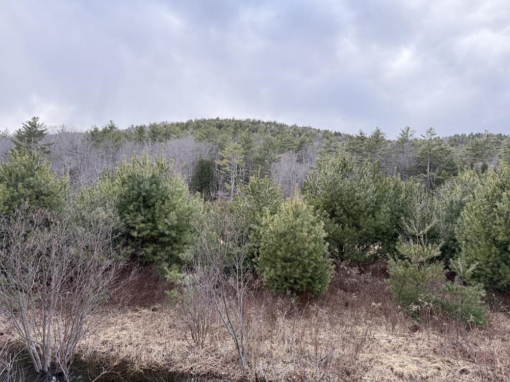 R13-006-001 Route 25C Route