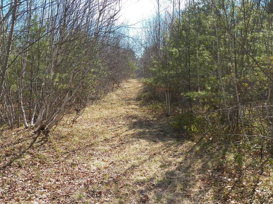 988 Dover Road