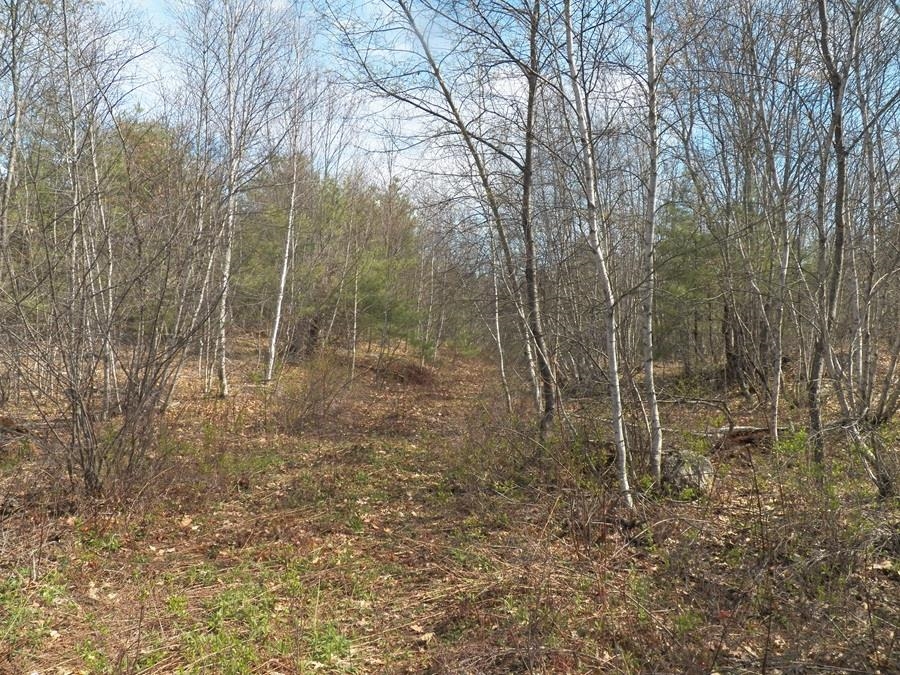 988 Dover Road