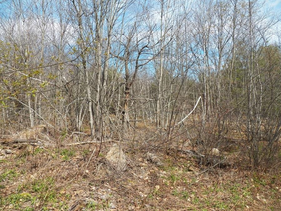 988 Dover Road