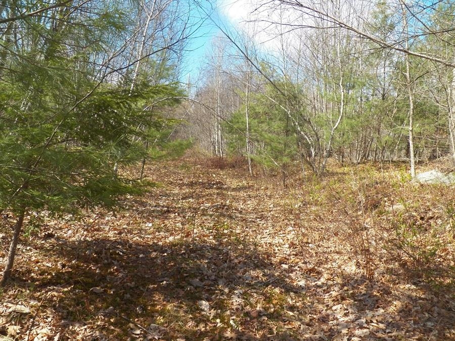 988 Dover Road
