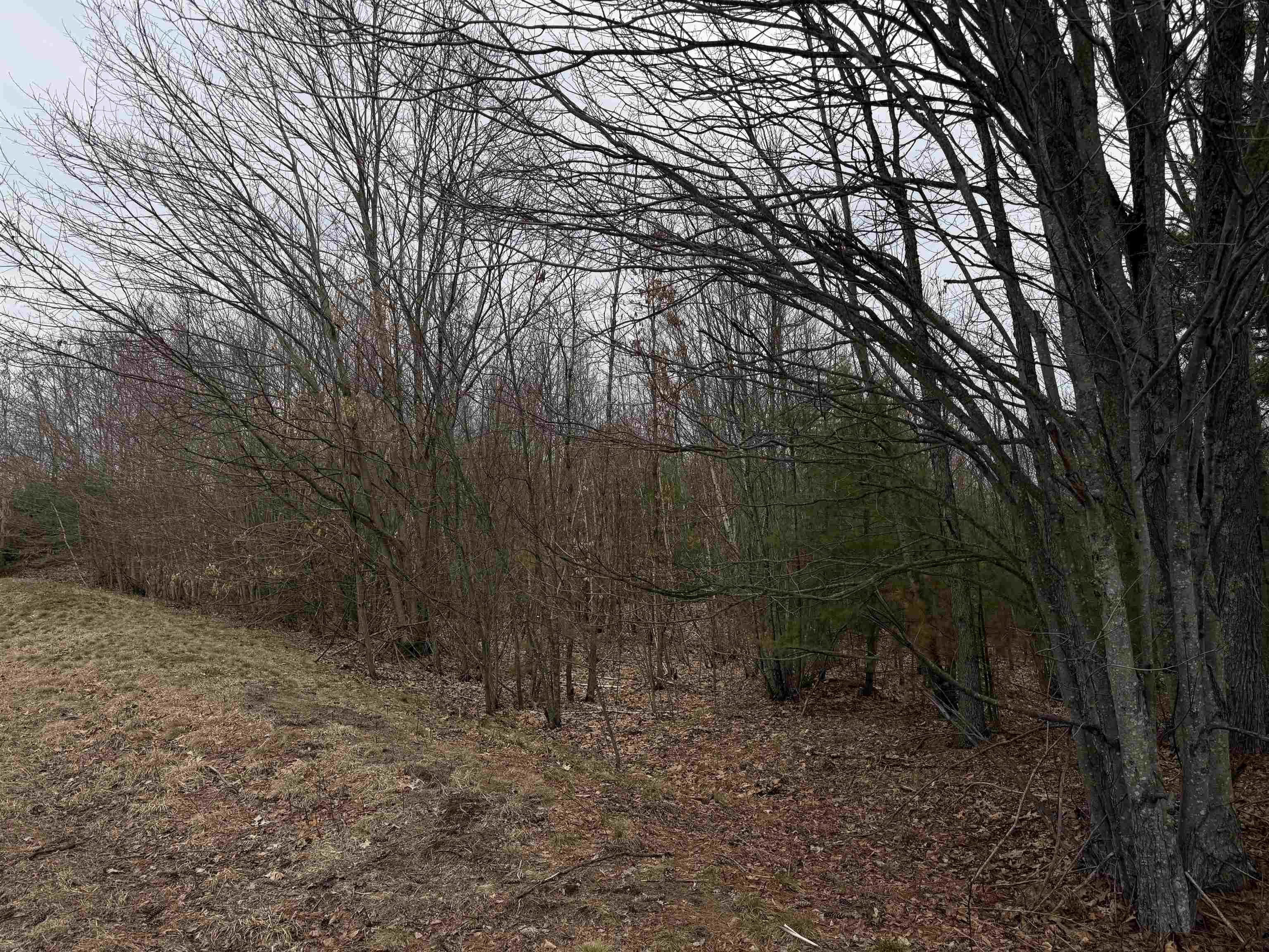 988 Dover Road