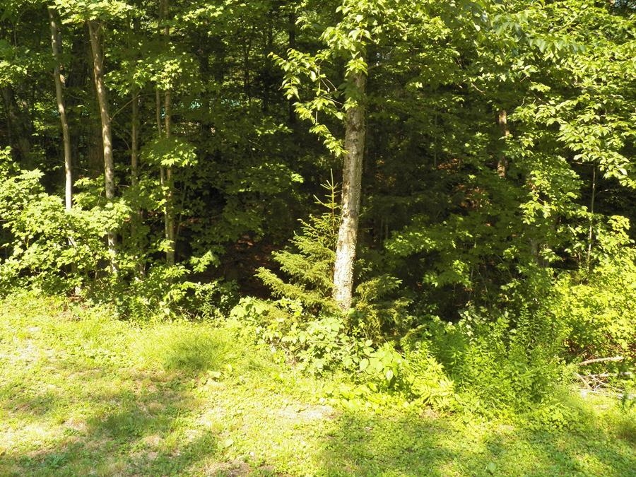116 Beaver Lake Drive