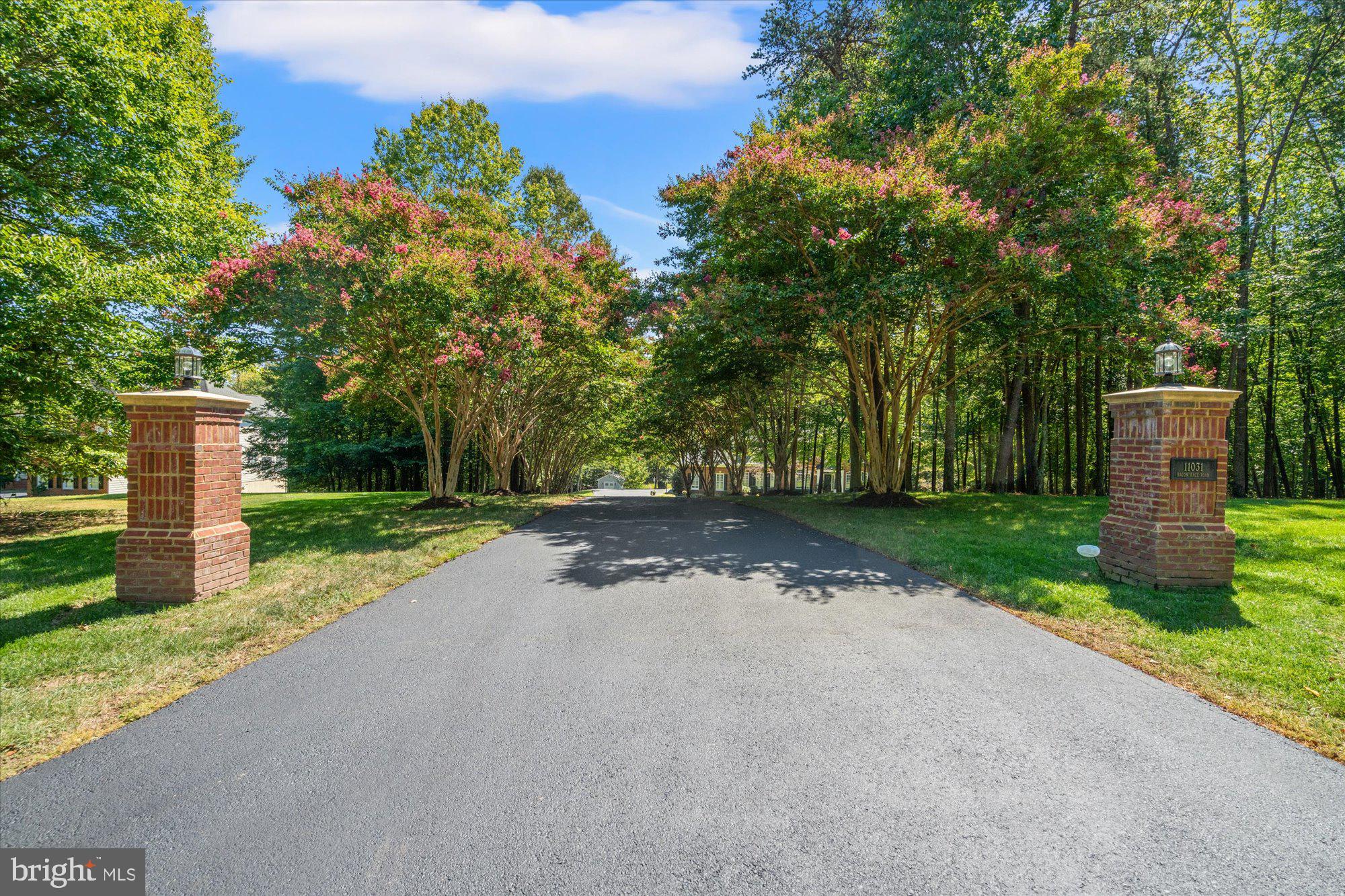 11031 BACON RACE ROAD