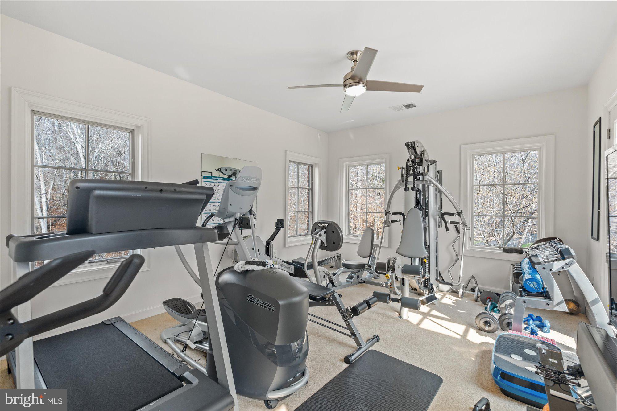 10036 LAKE OCCOQUAN DRIVE