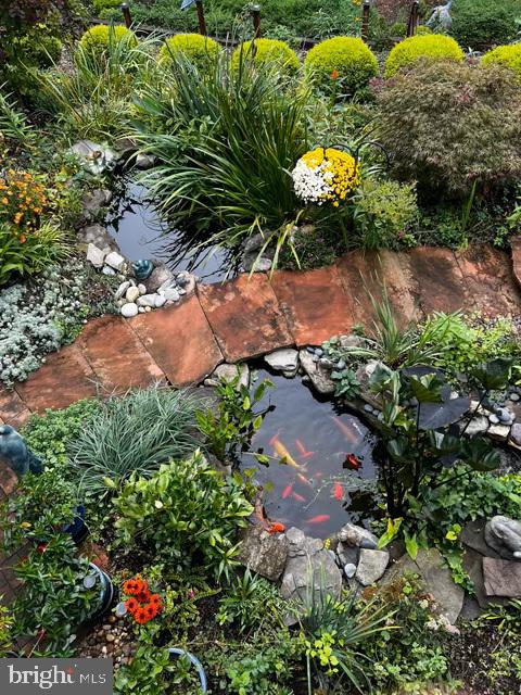 10036 LAKE OCCOQUAN DRIVE