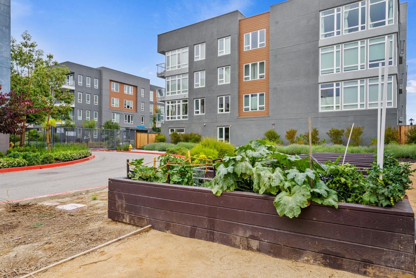 5925 Charlotte DR 233