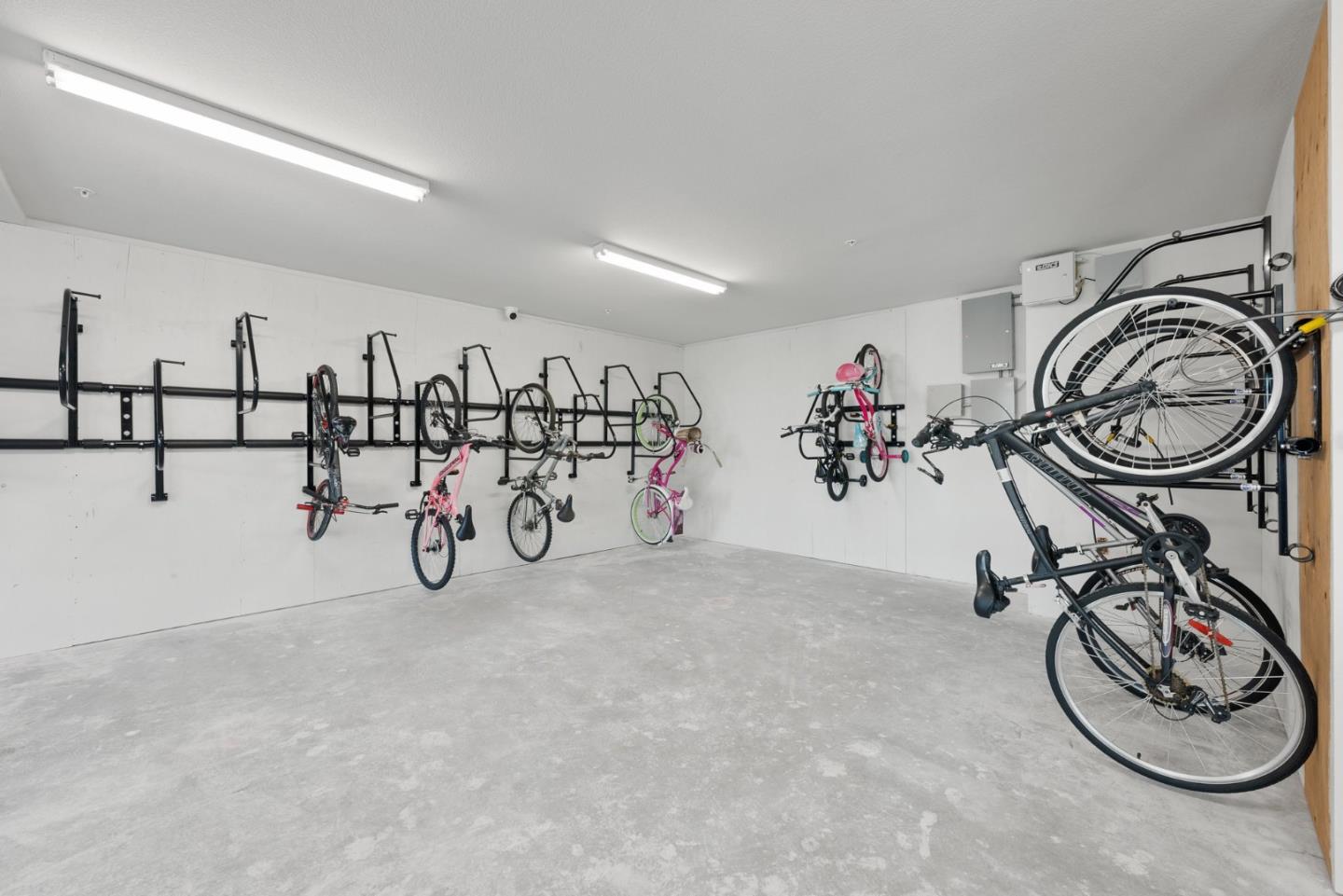 5925 Charlotte DR 233