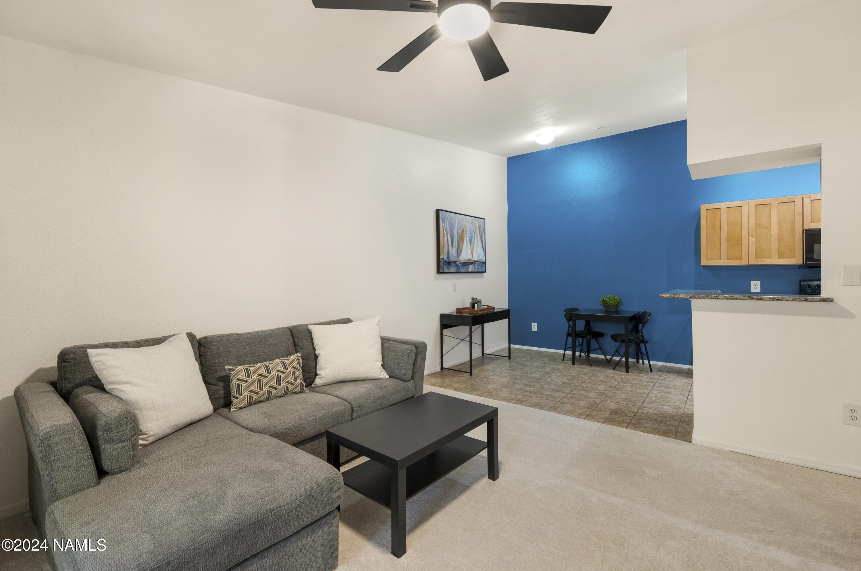 1185 W University Avenue, 250