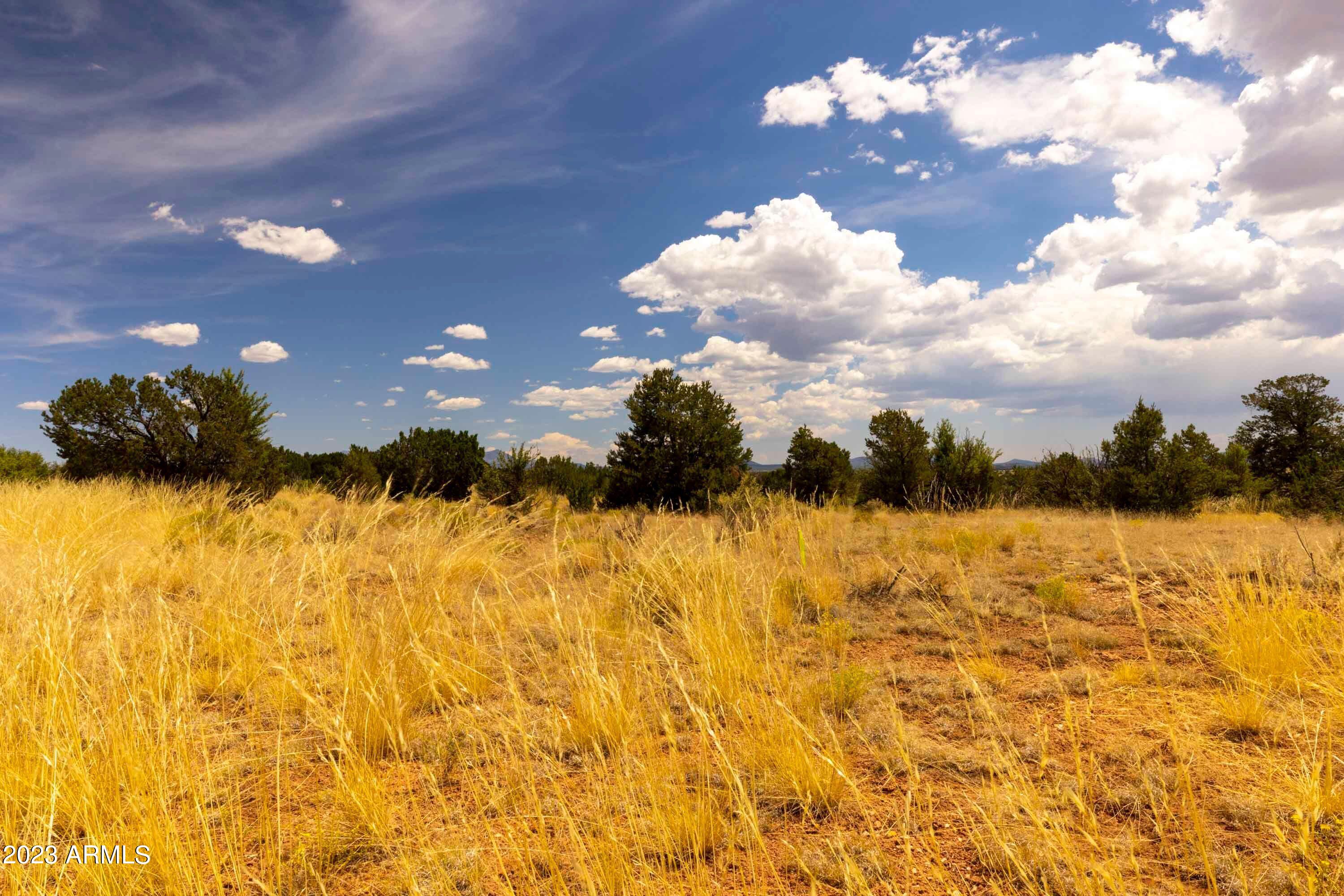 3054 E SILVER VALLEY Road, 415