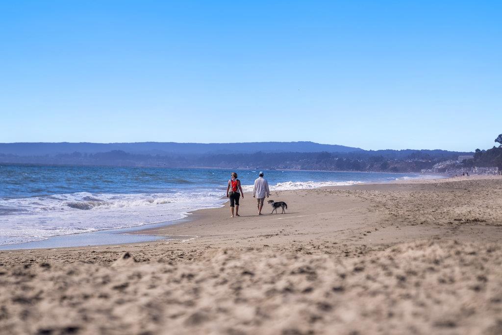 830 Via Gaviota