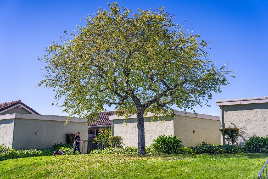276 Crestview Drive