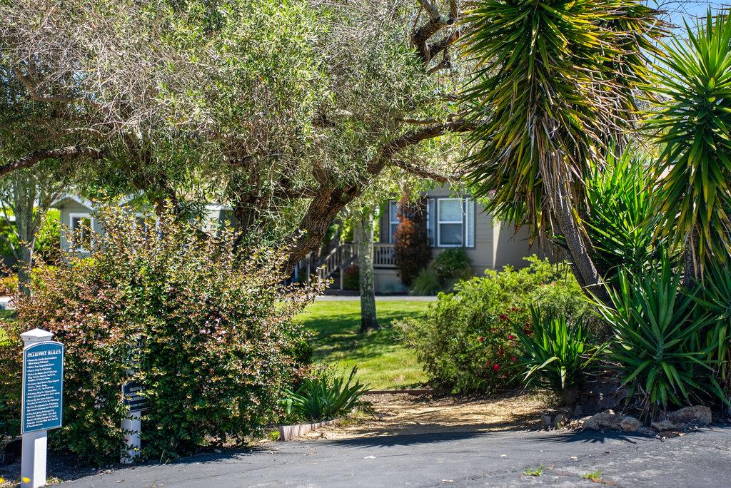 444 Whispering Pines Drive Unit: 116