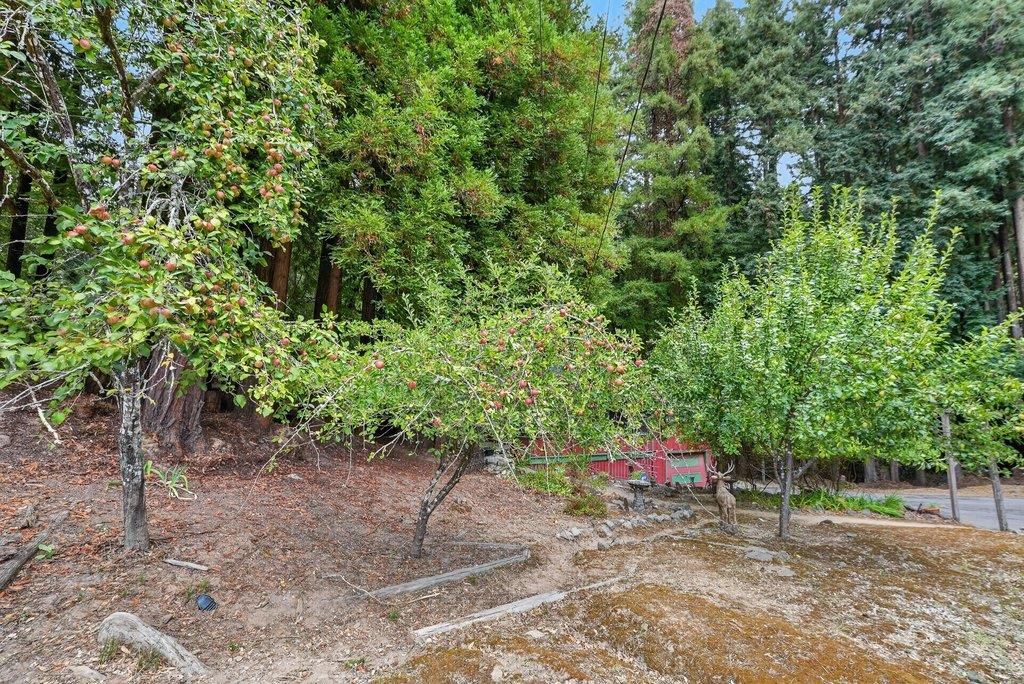 917 Scenic DR