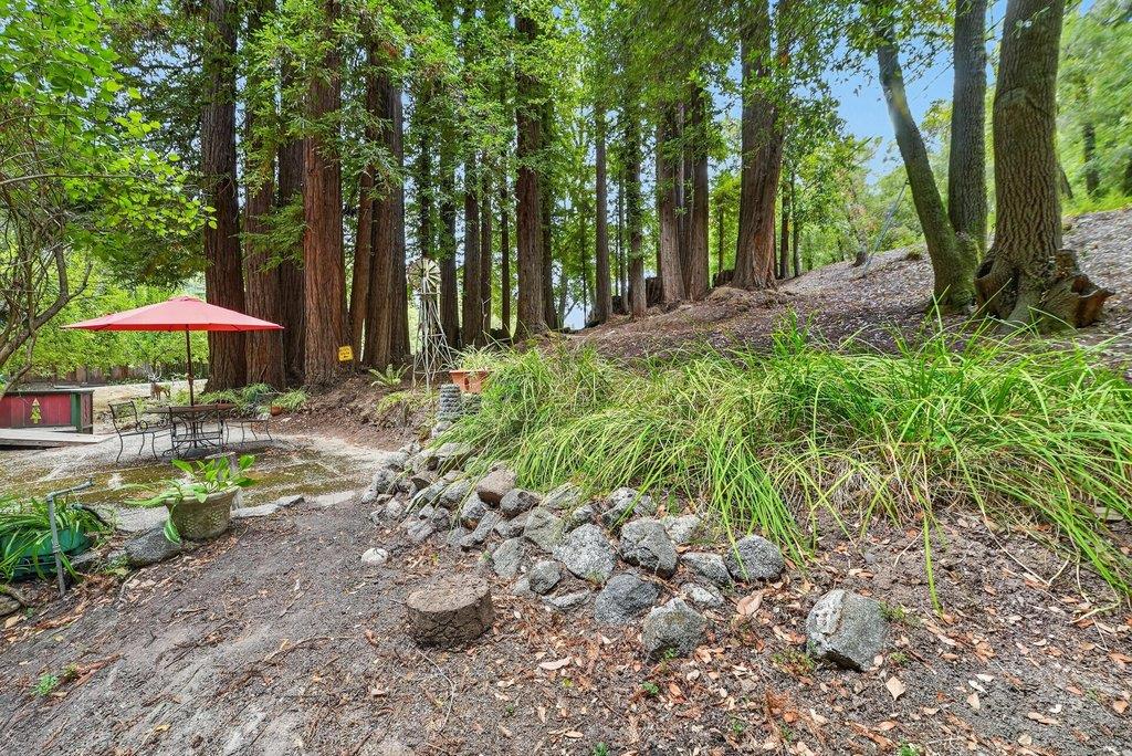 917 Scenic DR