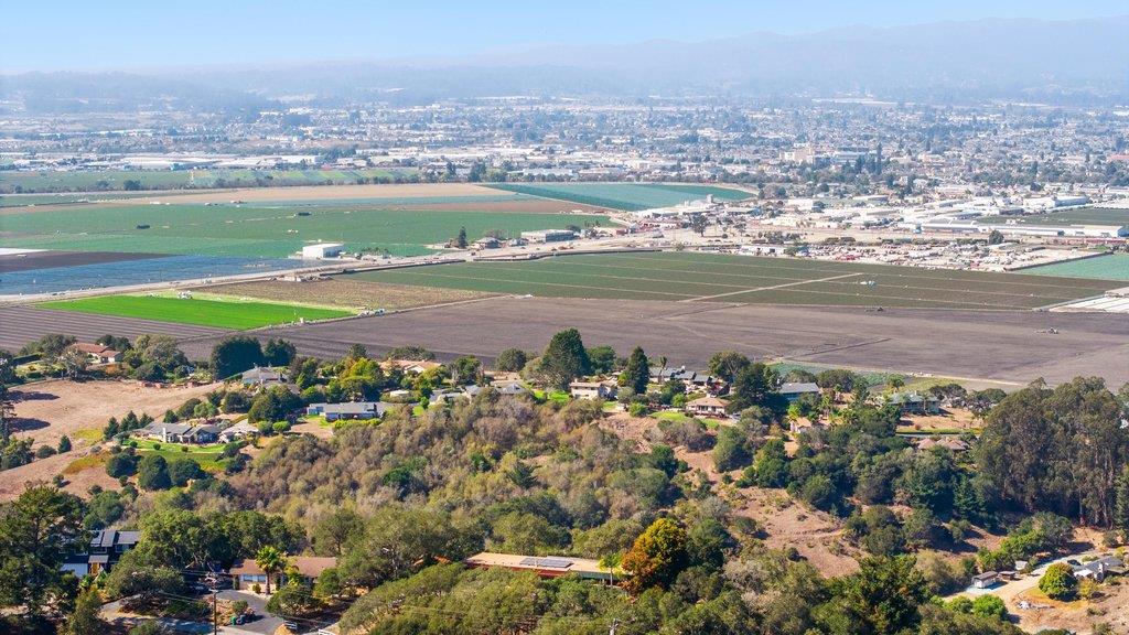 400 Las Lomas DR