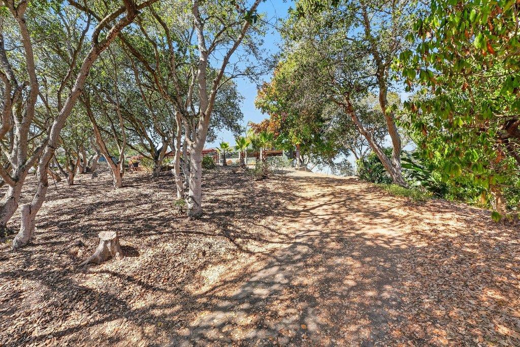 400 Las Lomas DR