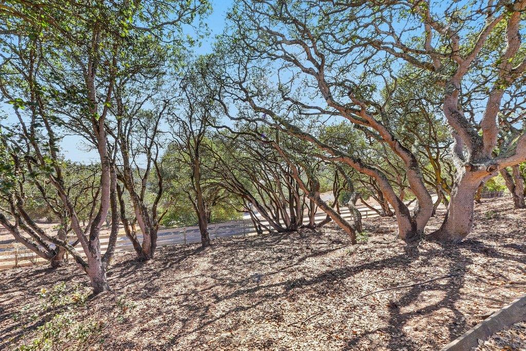 400 Las Lomas DR