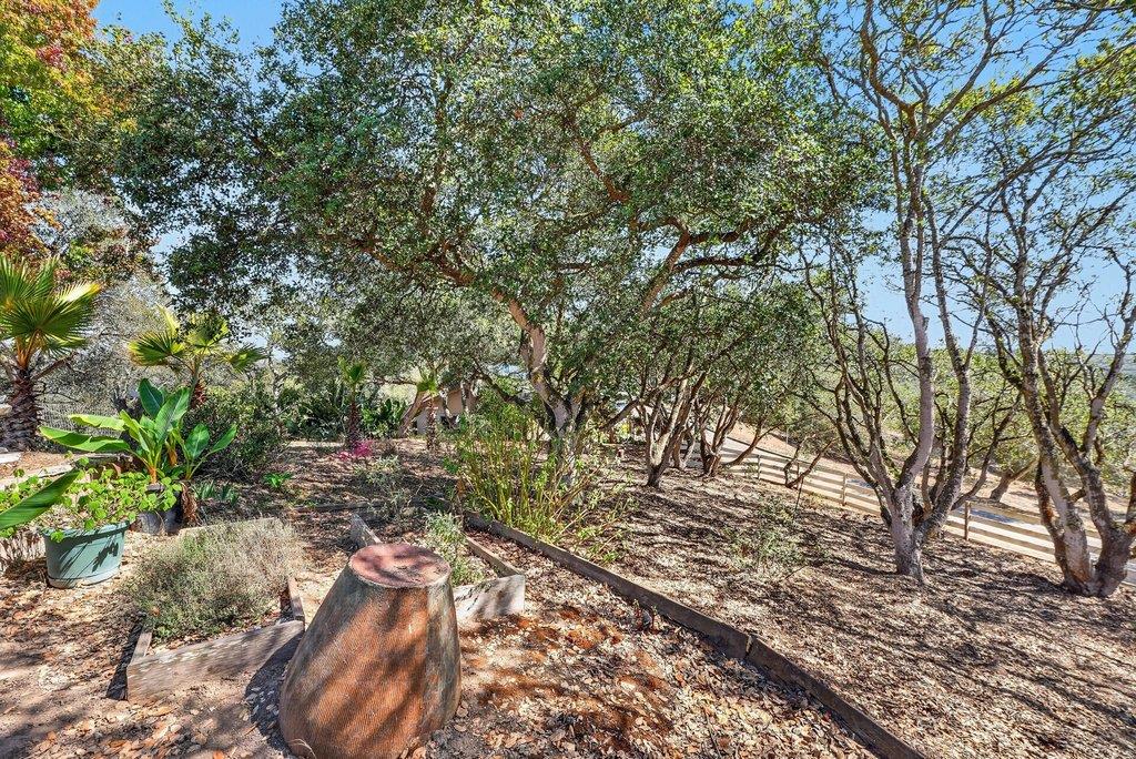 400 Las Lomas DR