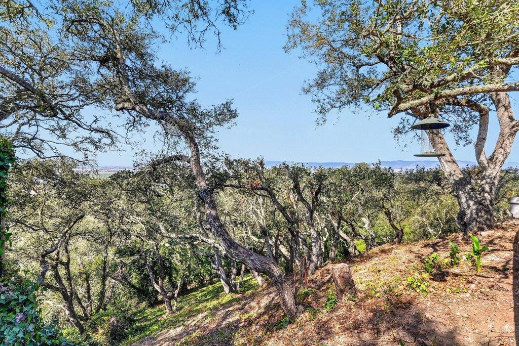 400 Las Lomas DR