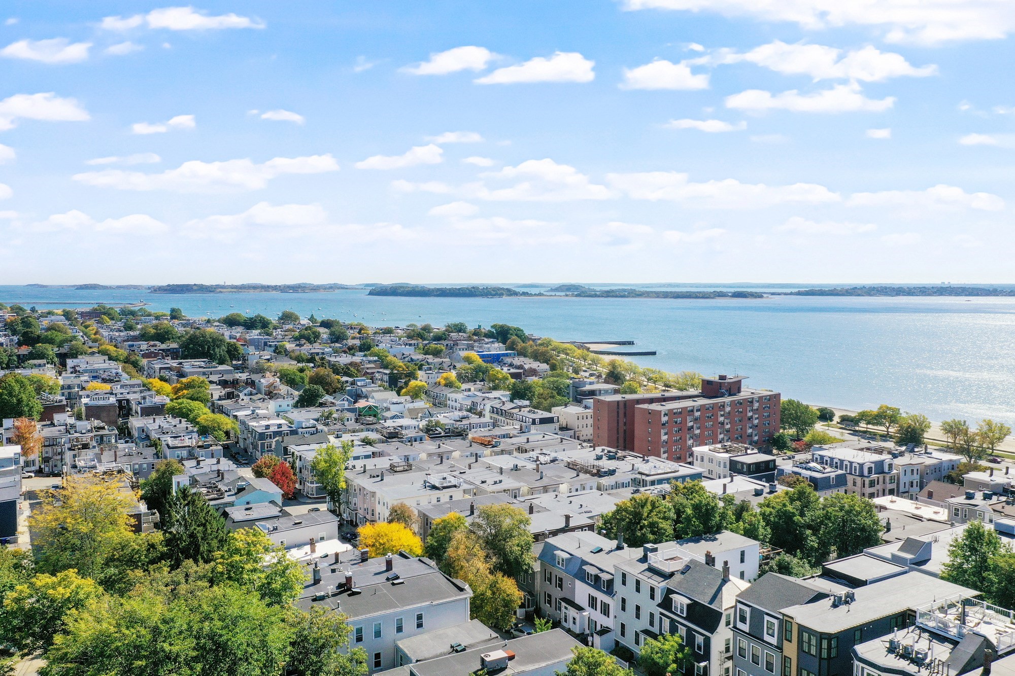 98 G St # 4