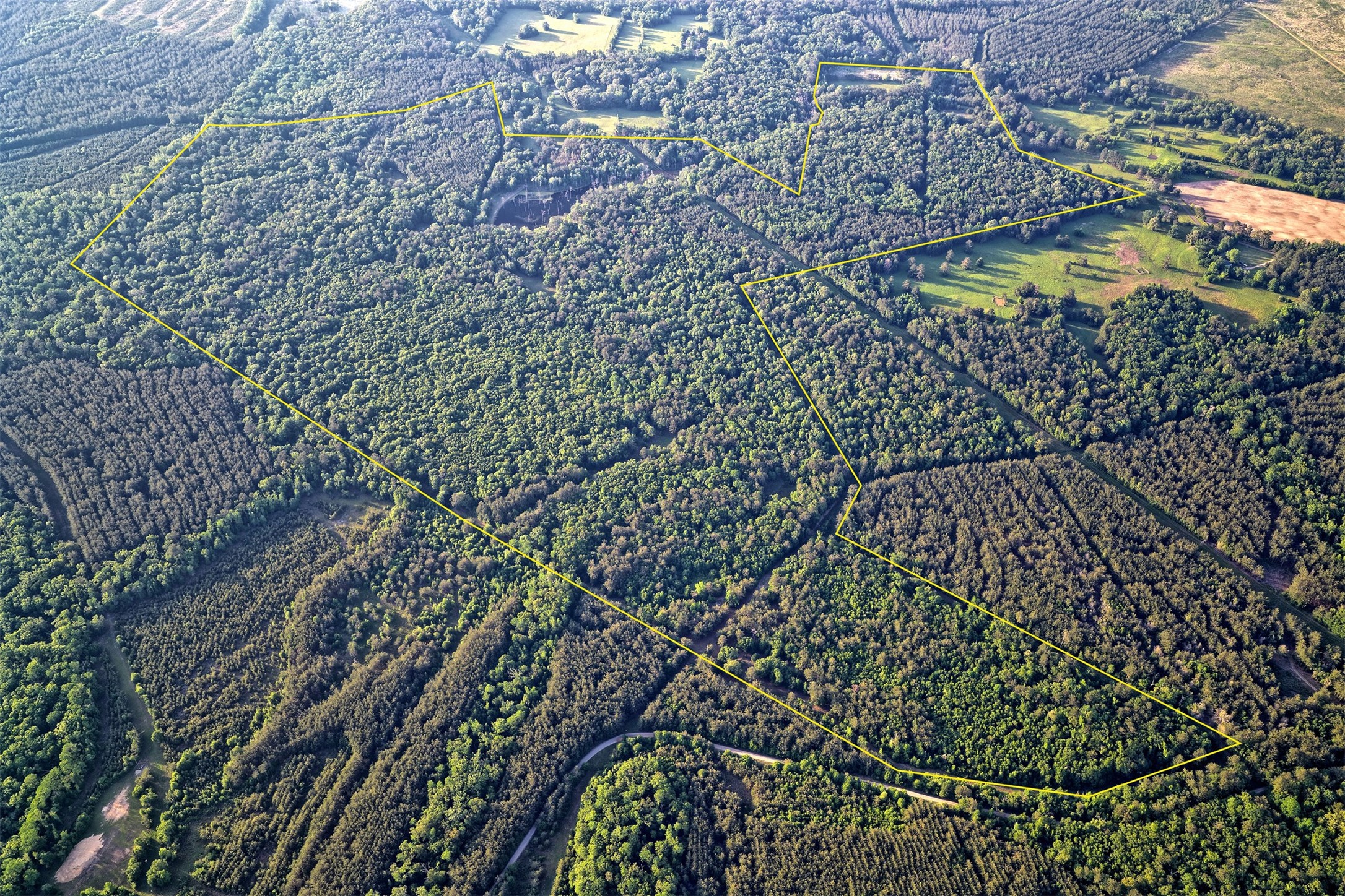 00 County Road 448