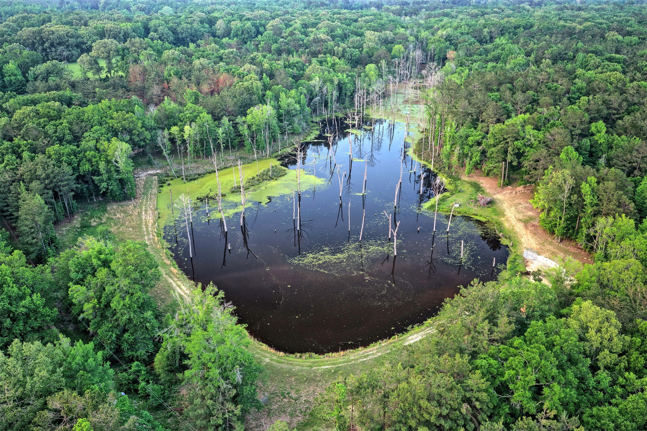 00 County Road 448