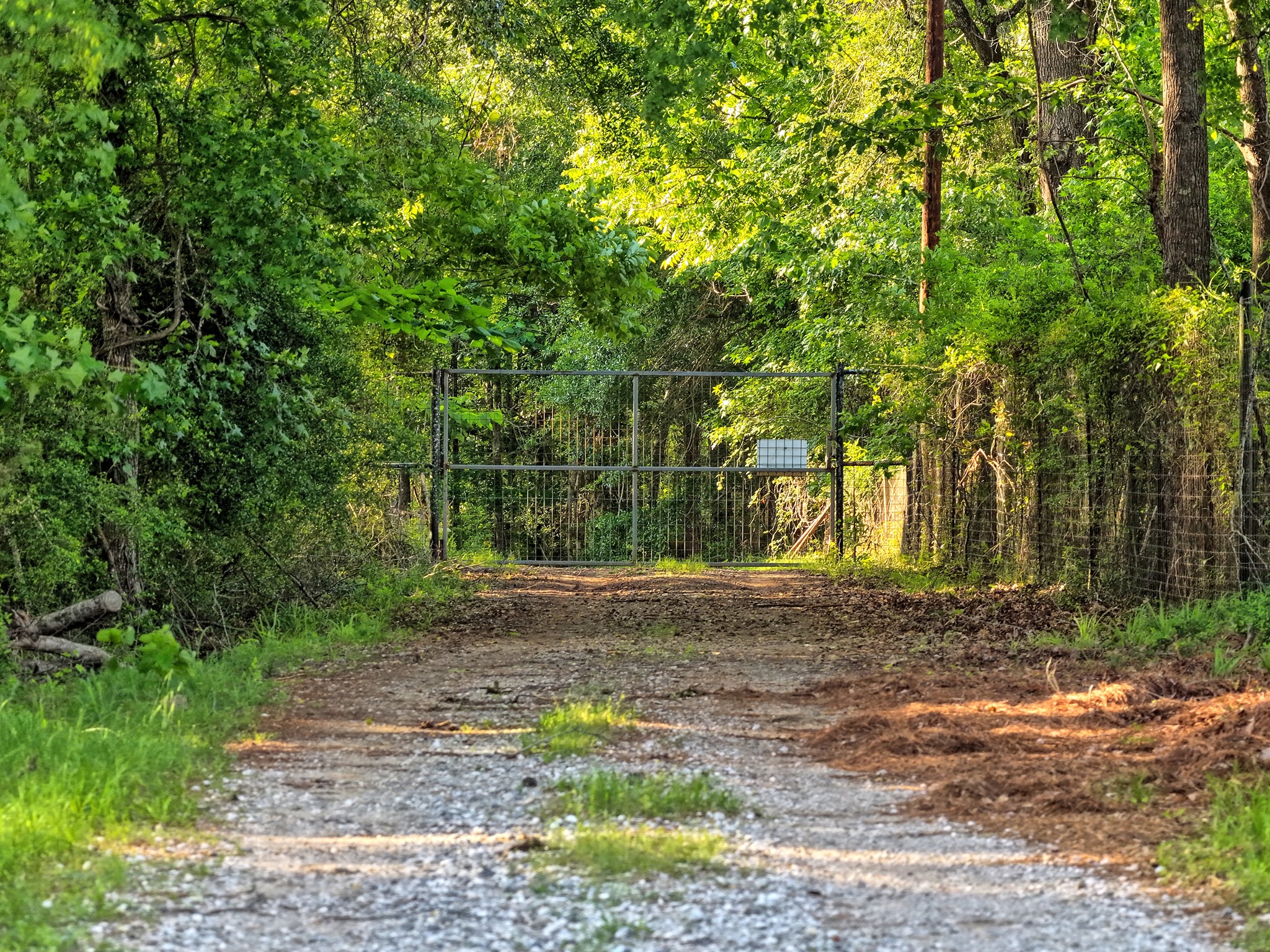 00 County Road 448