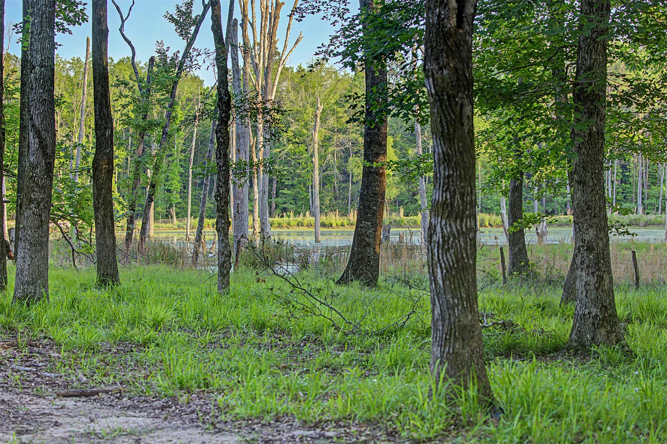 00 County Road 448