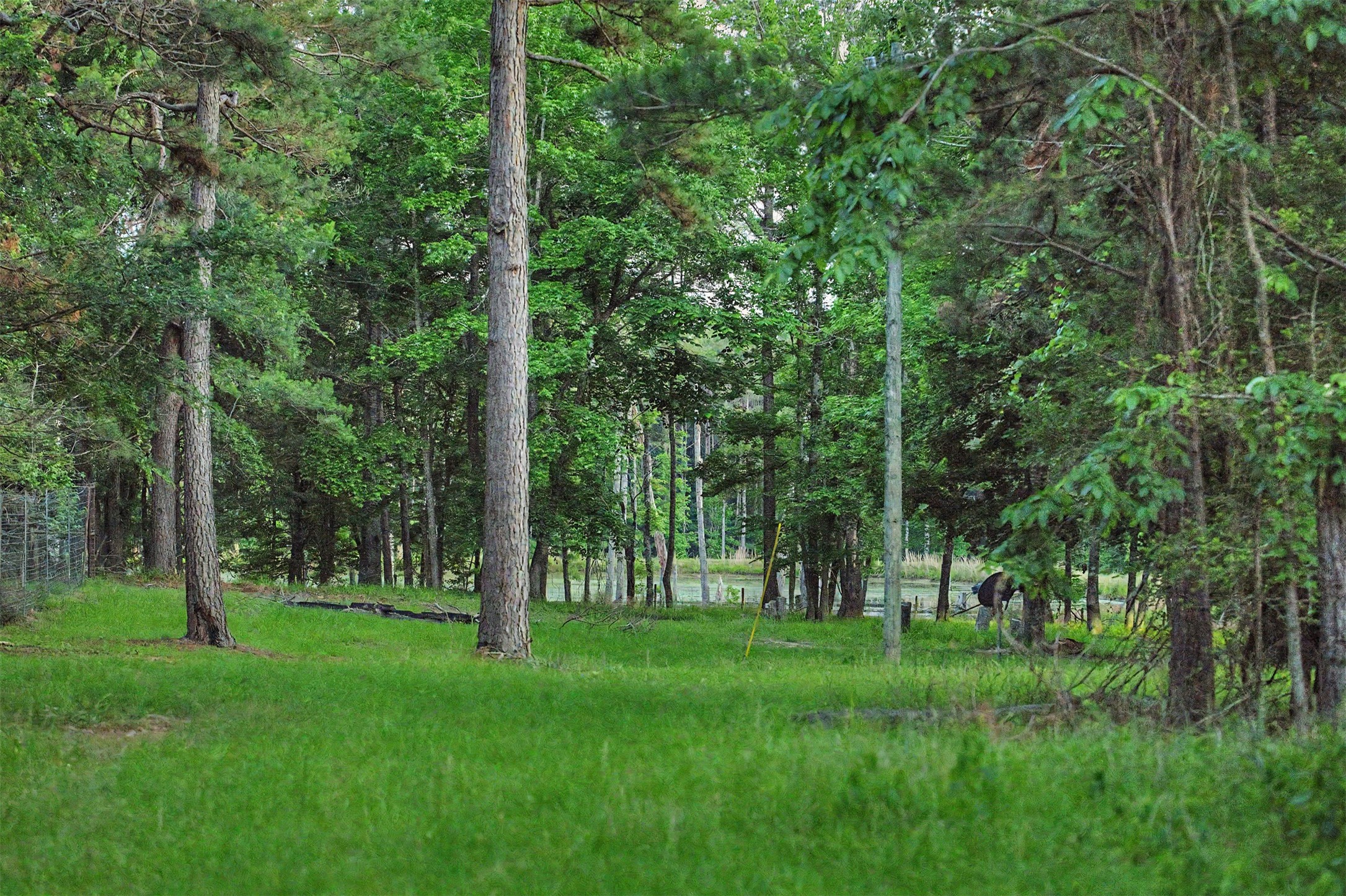 00 County Road 448