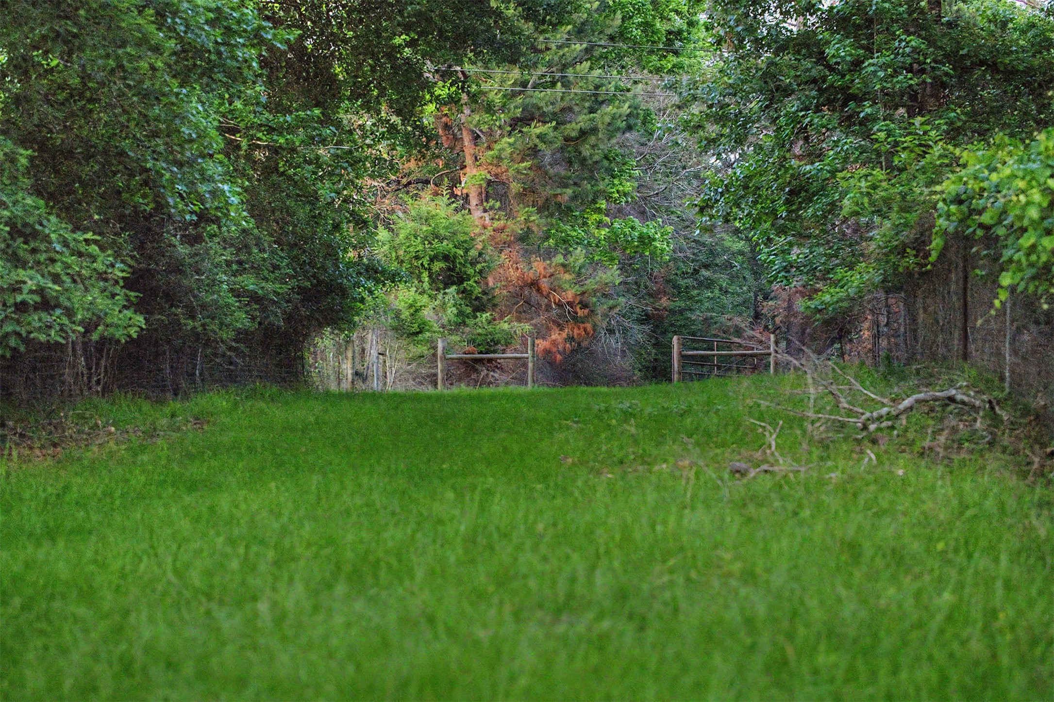 00 County Road 448