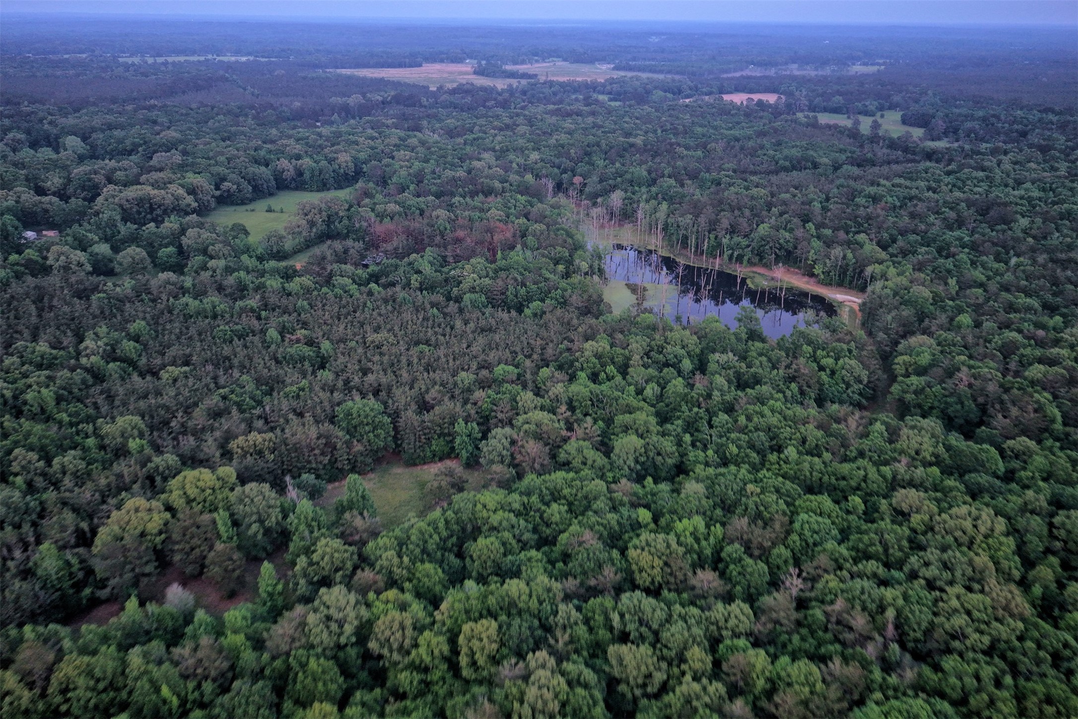 00 County Road 448