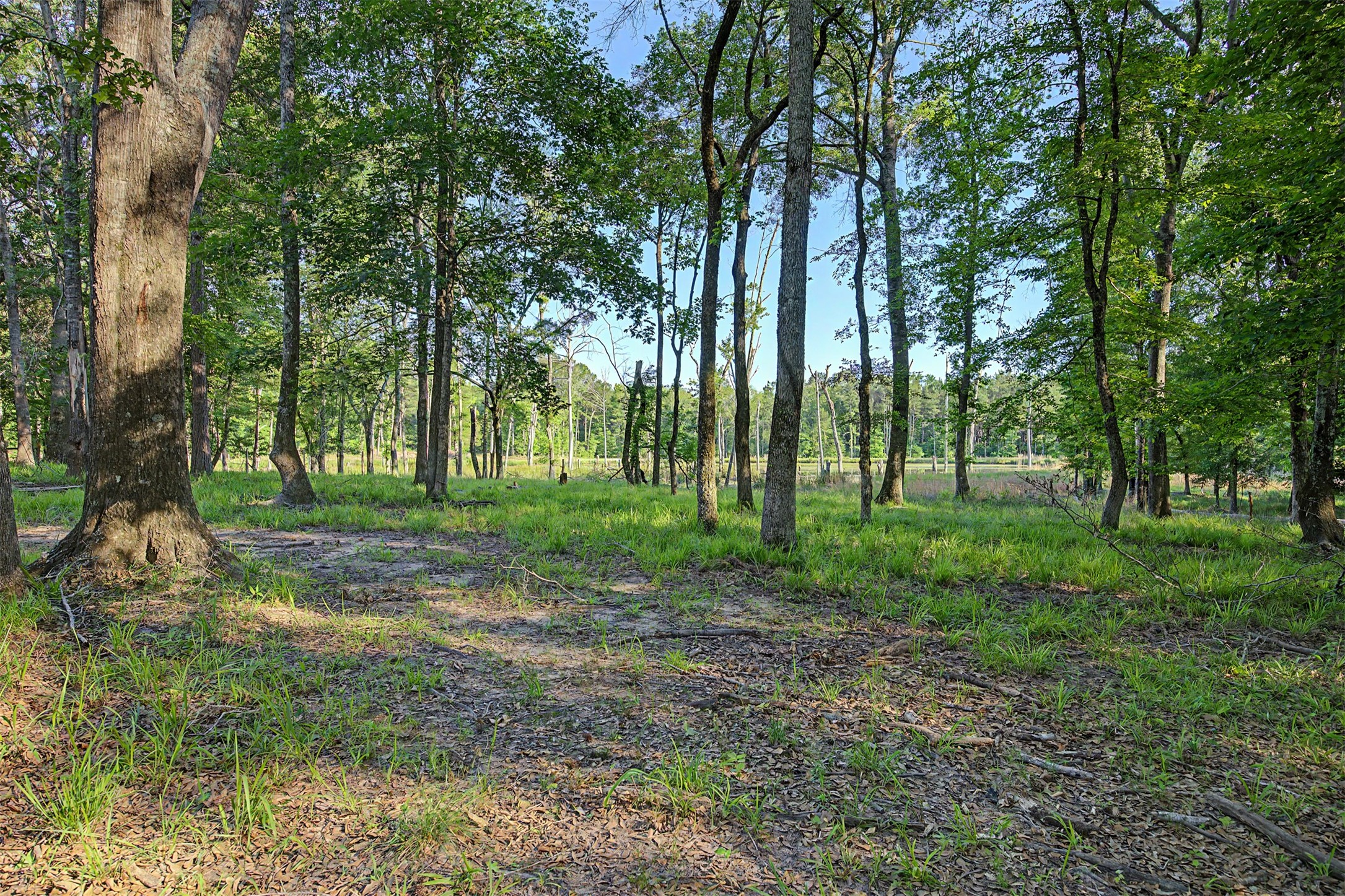 00 County Road 448