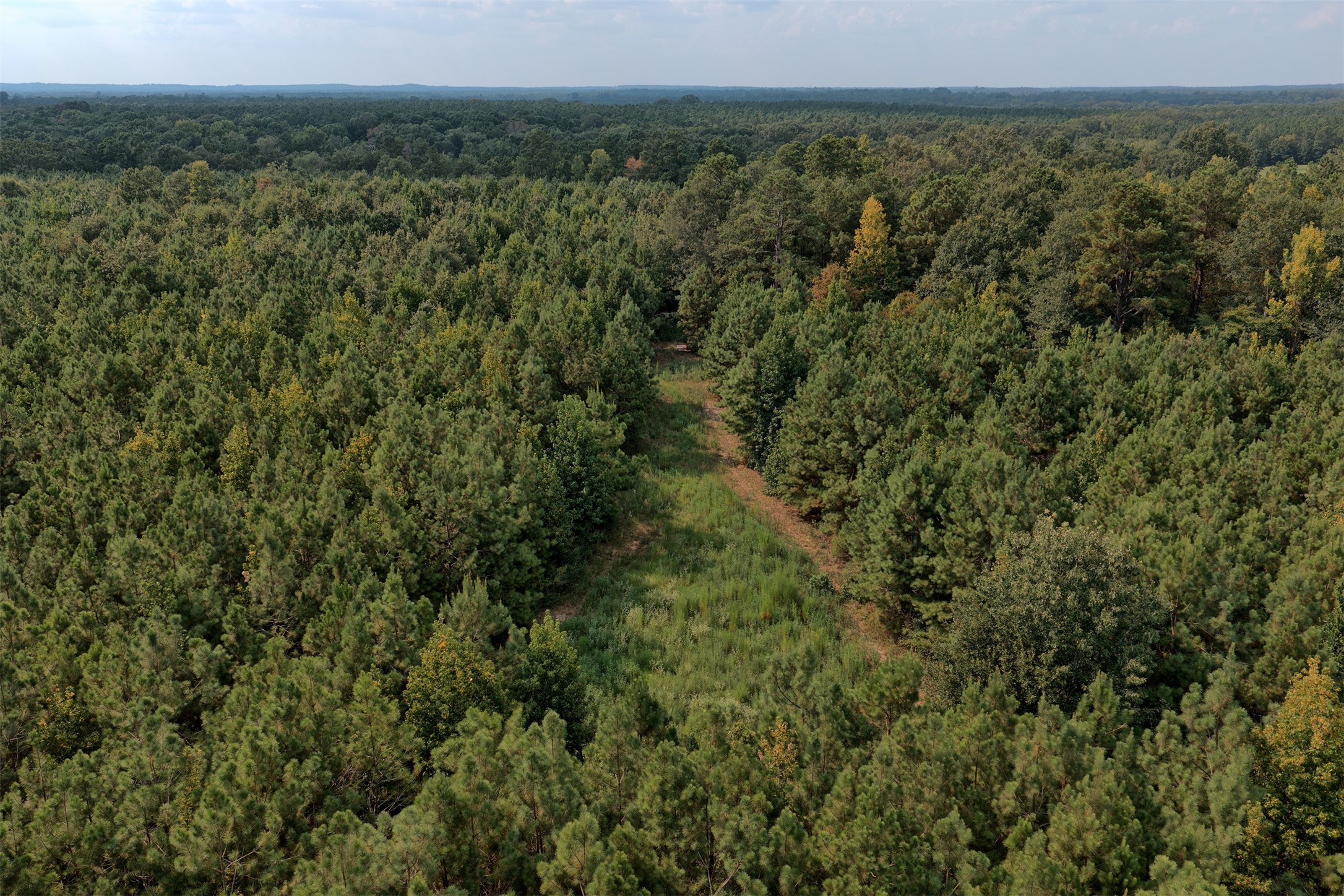 00 County Road 164