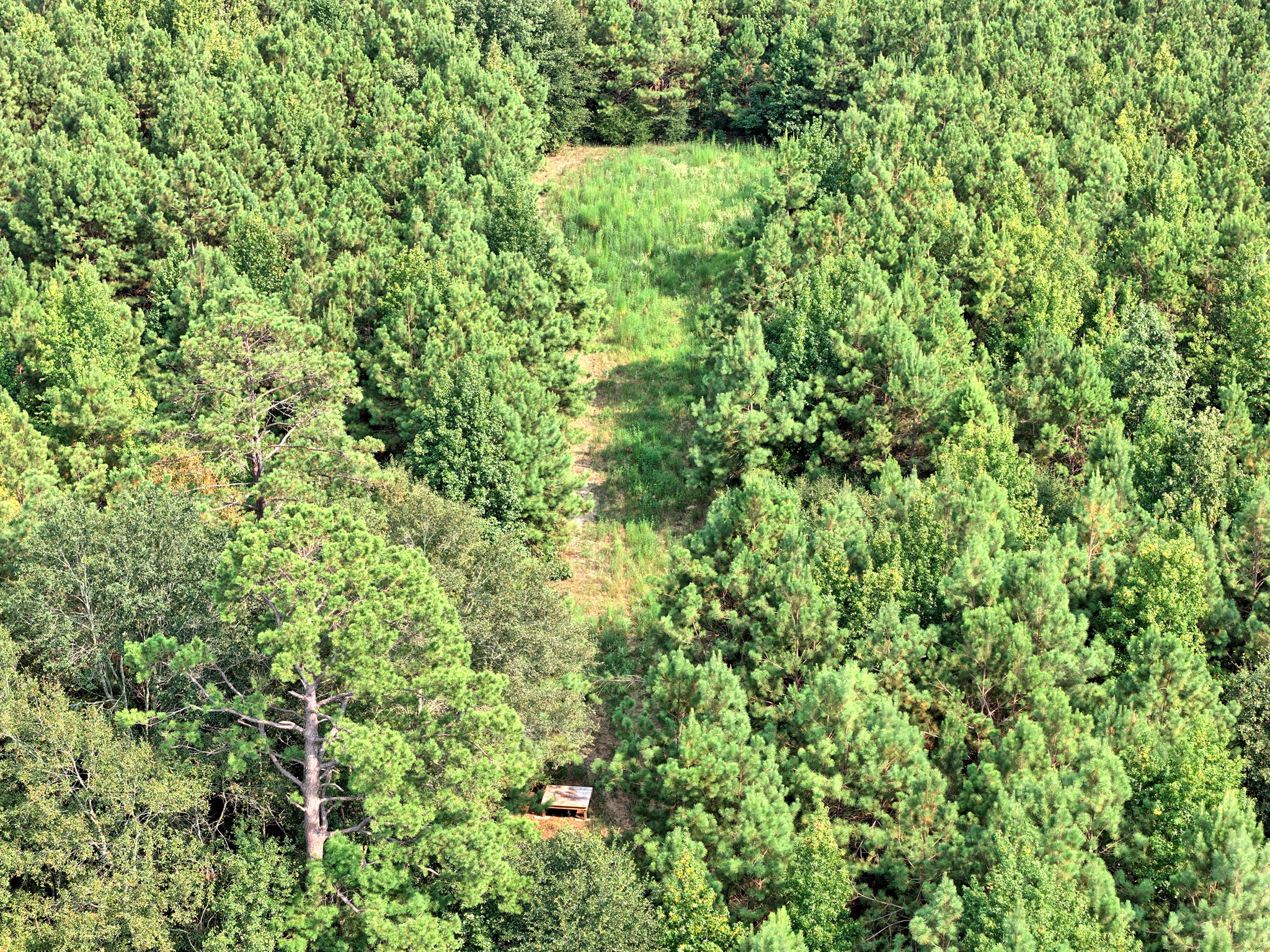 00 County Road 164