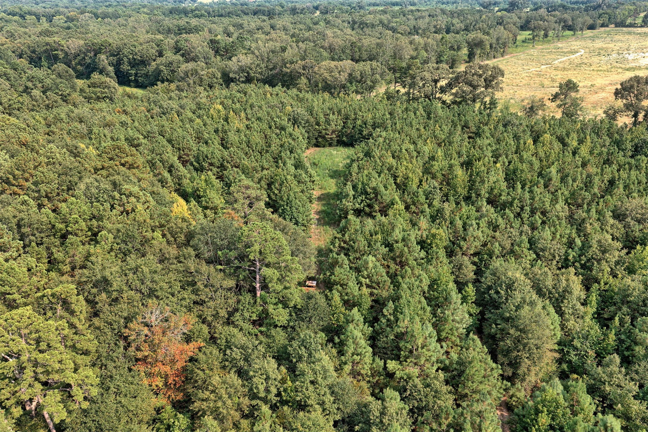 00 County Road 164