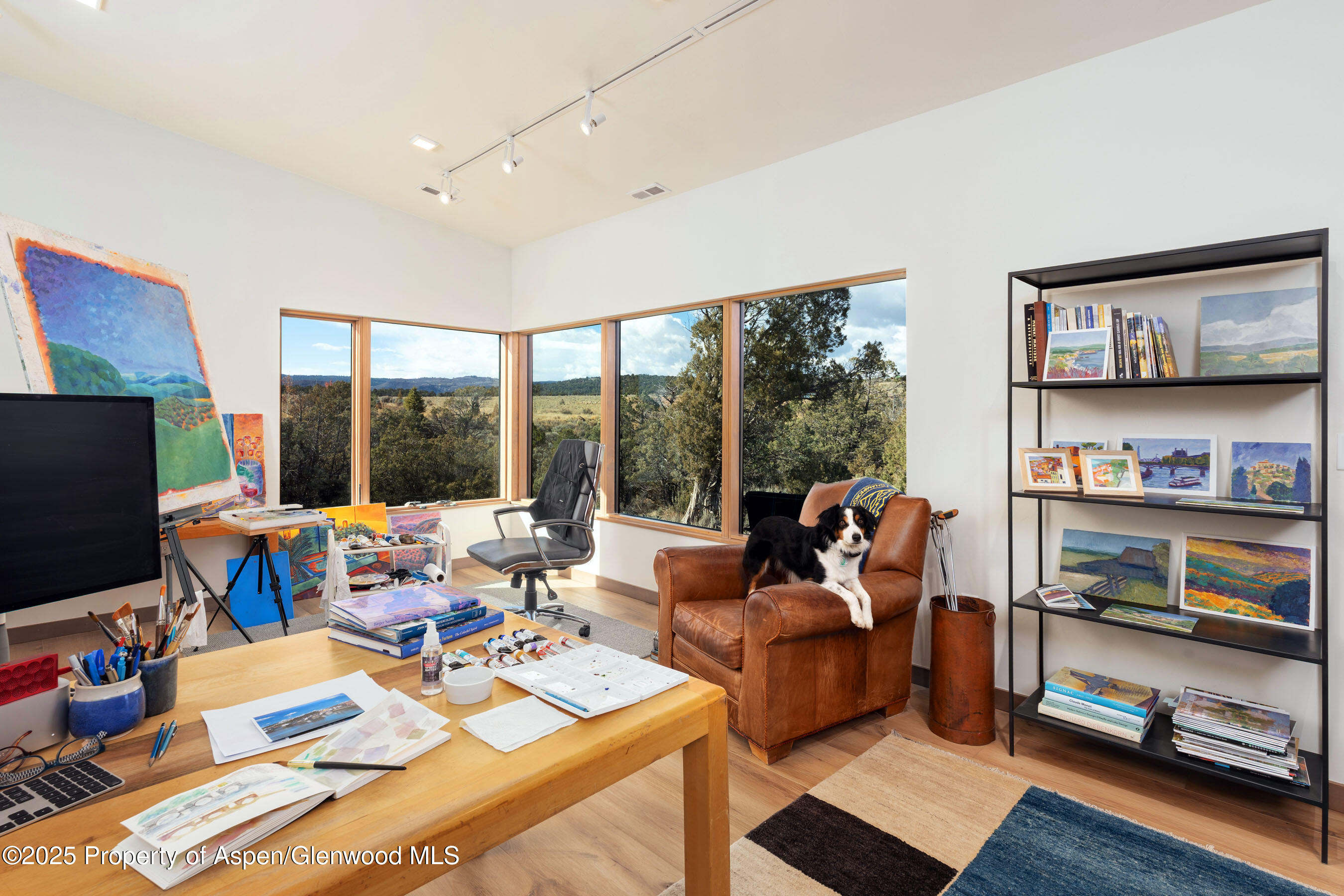 2685 Elk Springs Drive